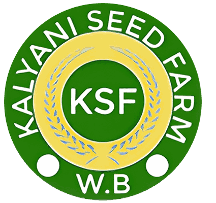 client logo image